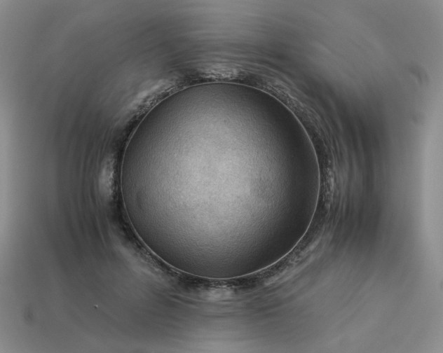 X0000113990600200910161648