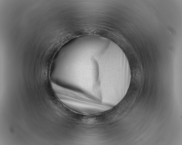 X0000113990602200910161648