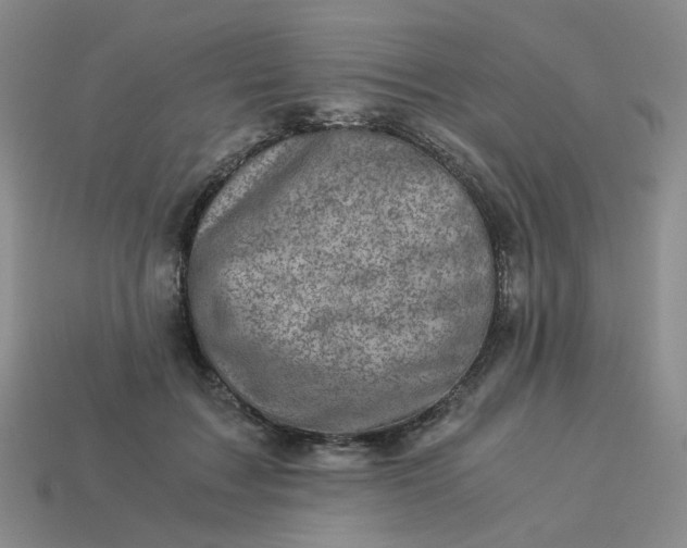 X0000113990603200910161648