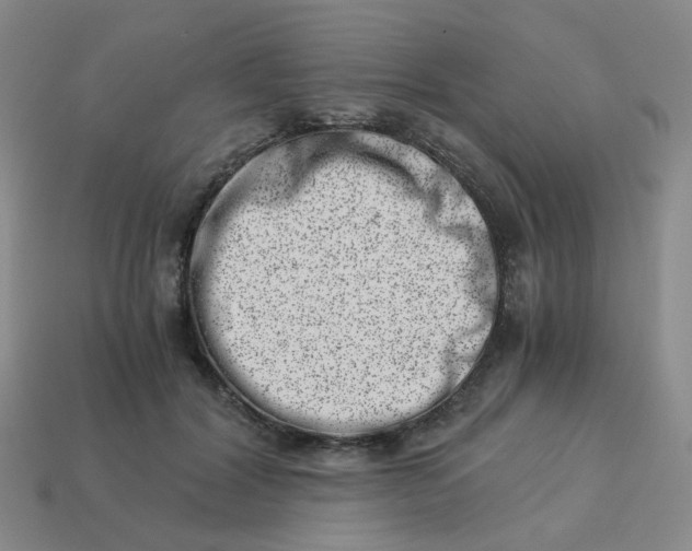 X0000113990604200910161648