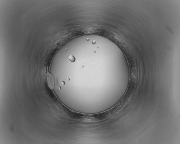 X0000113990605200910161648