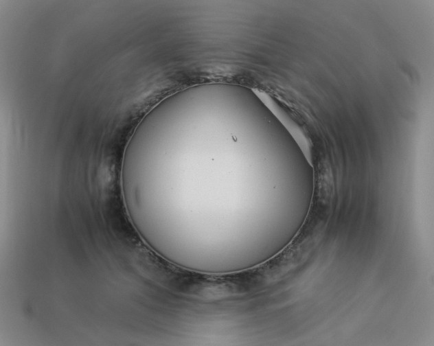 X0000113990608200910161648