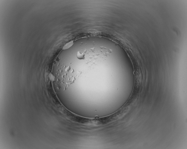 X0000113990609200910161648