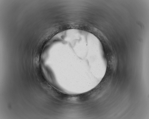 X0000113990610200910161648