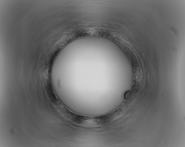 X0000113990611200910161648