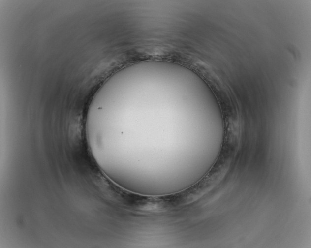 X0000113990612200910161648