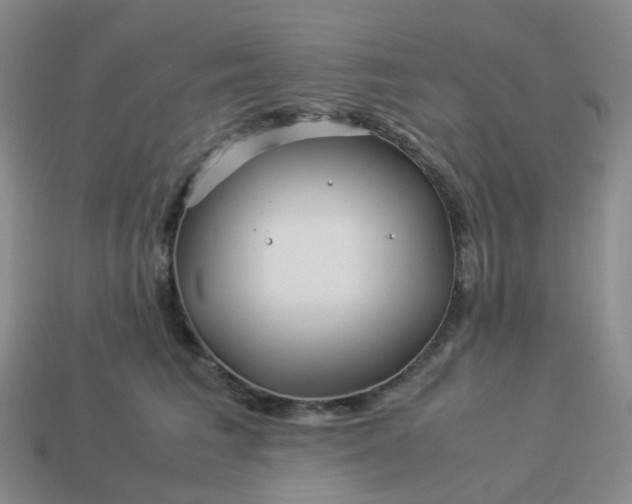 X0000113990613200910161648