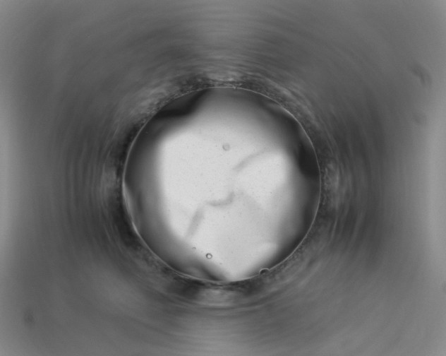 X0000113990614200910161648