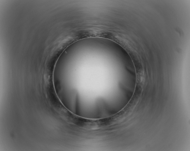 X0000113990615200910161648