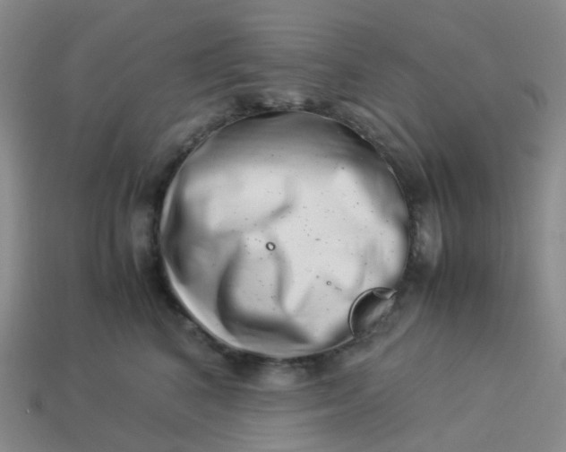 X0000113990616200910161648