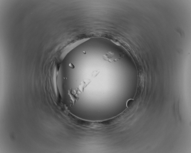 X0000113990617200910161648