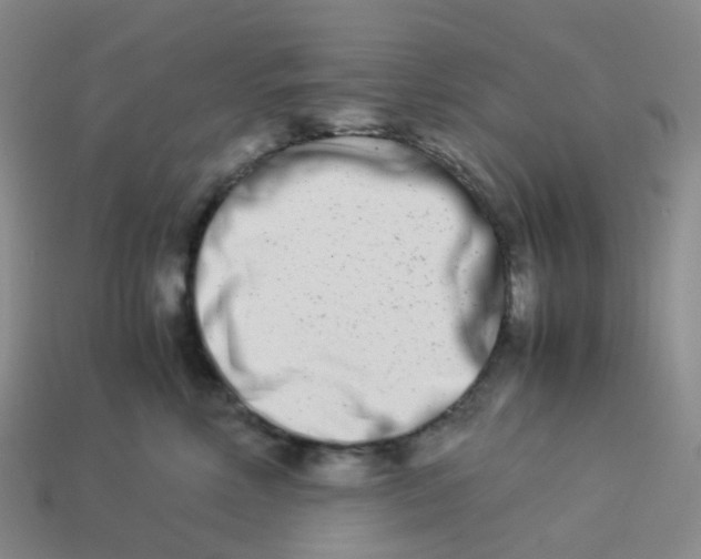 X0000113990618200910161648