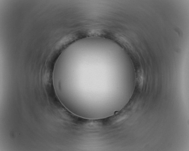 X0000113990619200910161648