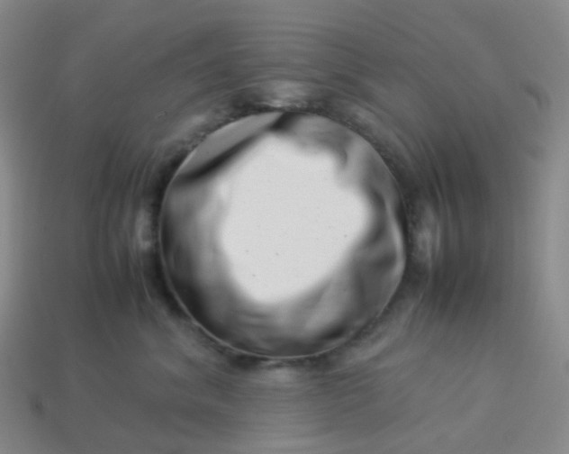 X0000113990620200910161648