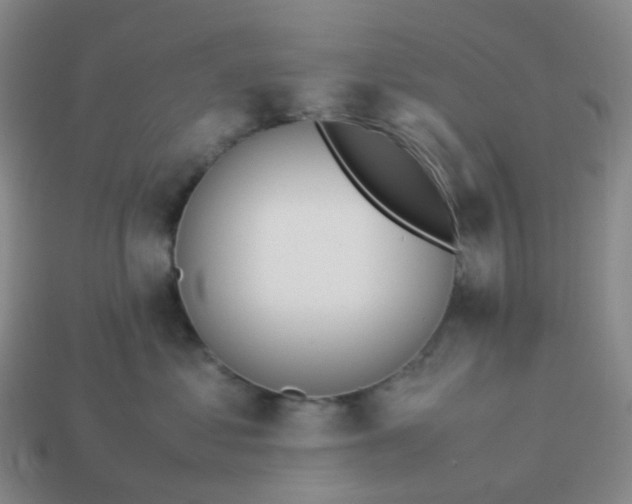 X0000113990621200910161648