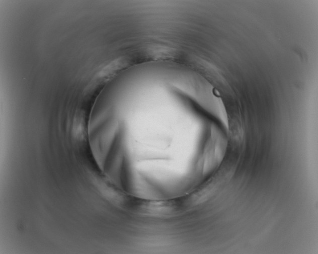 X0000113990622200910161648