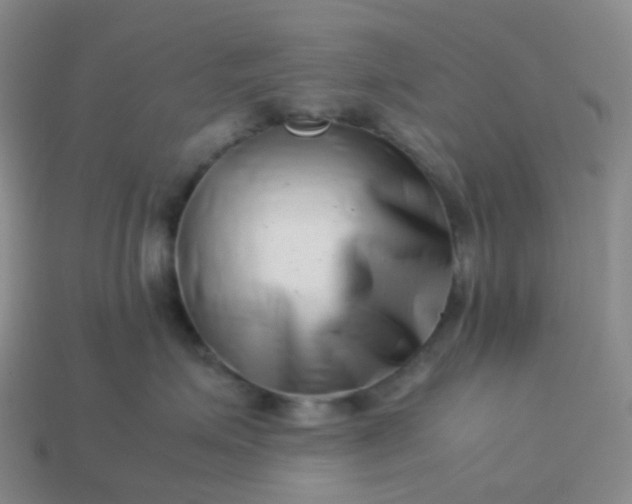 X0000113990623200910161648