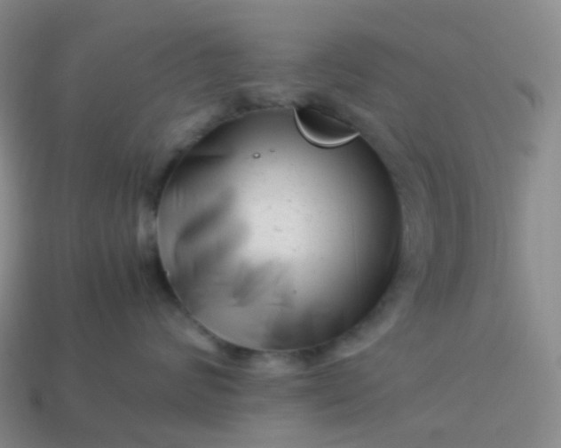 X0000113990624200910161648