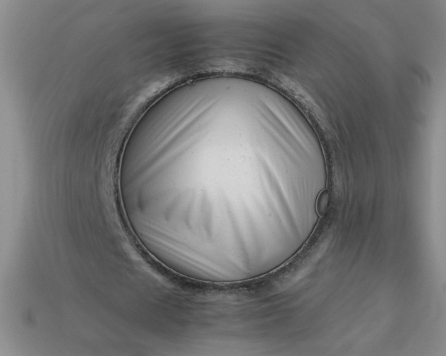 X0000113990625200910161647