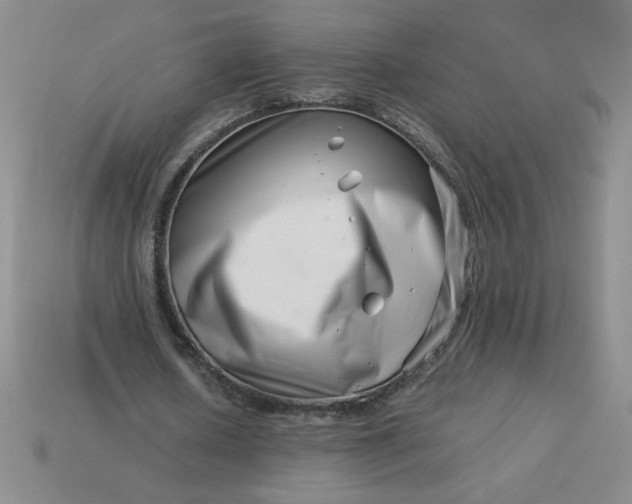 X0000113990626200910161647