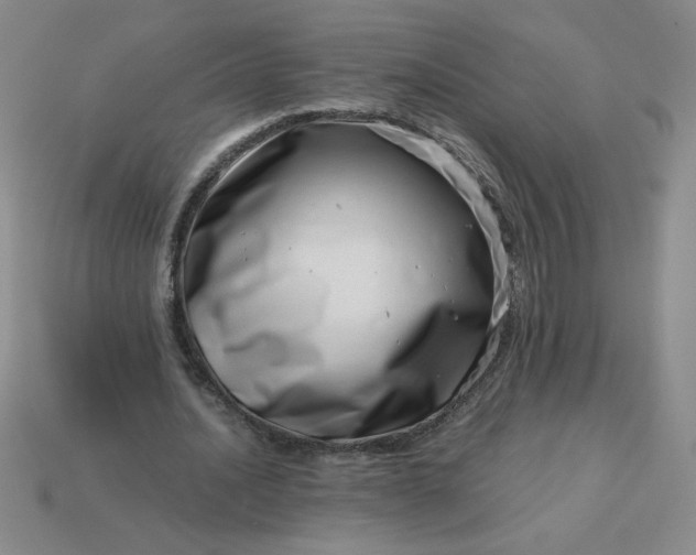 X0000113990628200910161647