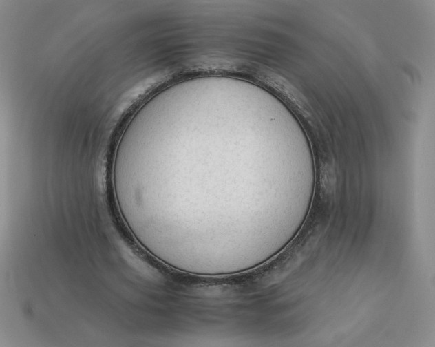 X0000113990629200910161647