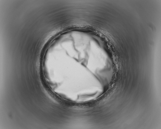 X0000113990630200910161647