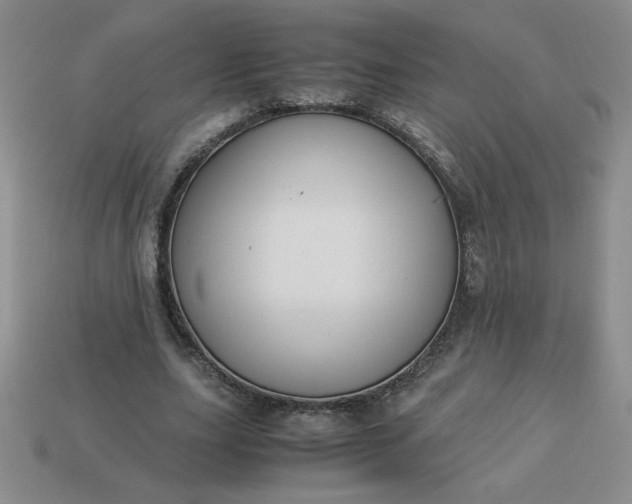 X0000113990631200910161647