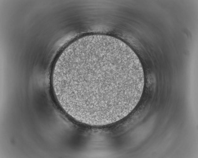 X0000113990632200910161647