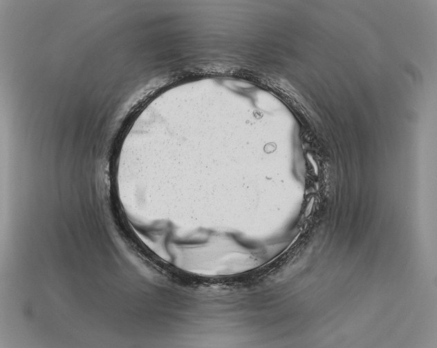 X0000113990634200910161647