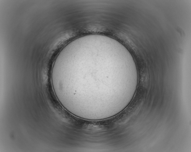 X0000113990635200910161647