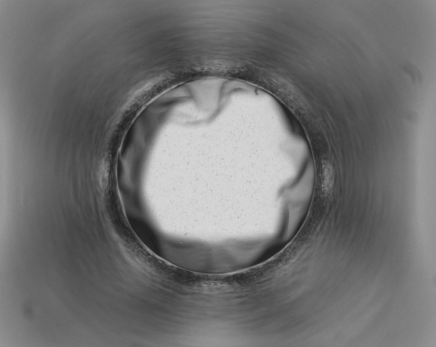 X0000113990636200910161647