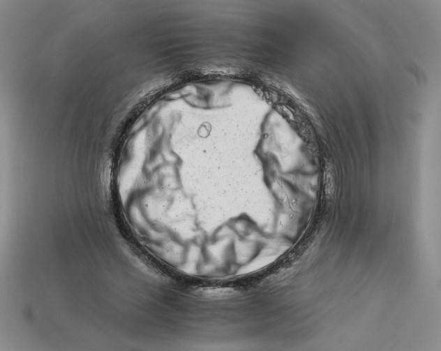 X0000113990637200910161647