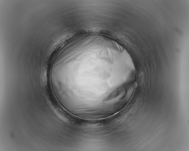 X0000113990638200910161647