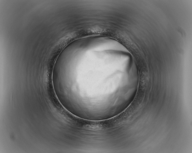 X0000113990639200910161647