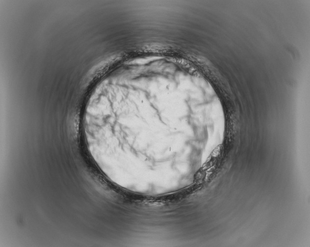 X0000113990640200910161647