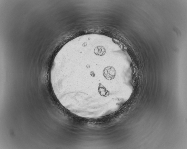 X0000113990641200910161647