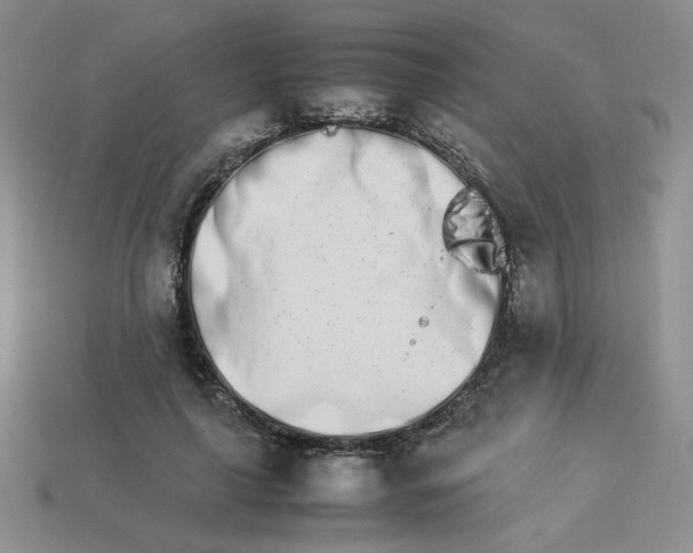 X0000113990643200910161647