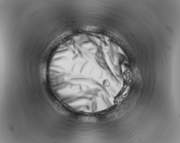 X0000113990644200910161648