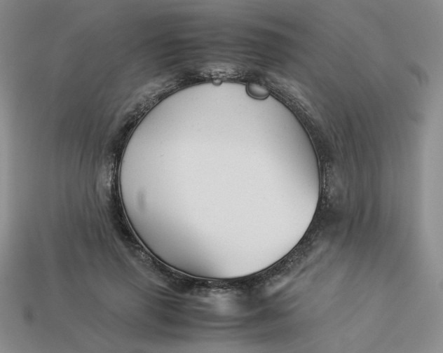 X0000113990645200910161648