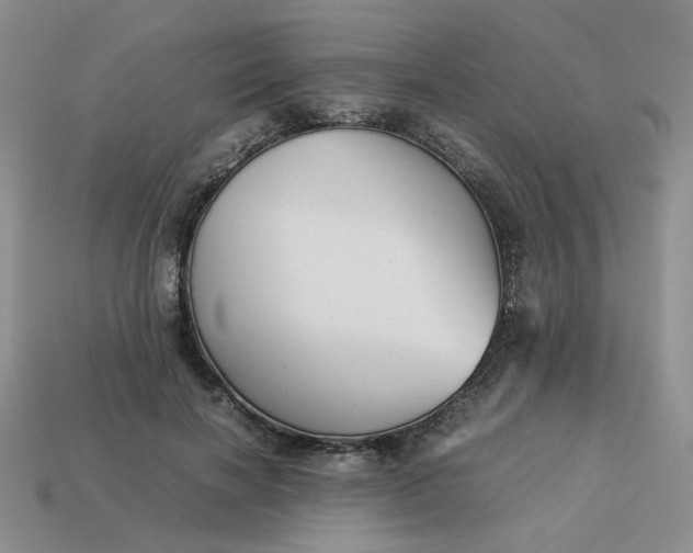 X0000113990646200910161648