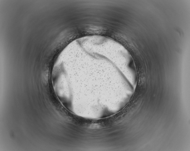 X0000113990647200910161648