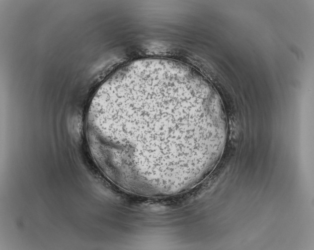 X0000113990648200910161648