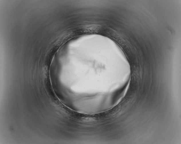 X0000113990649200910161648