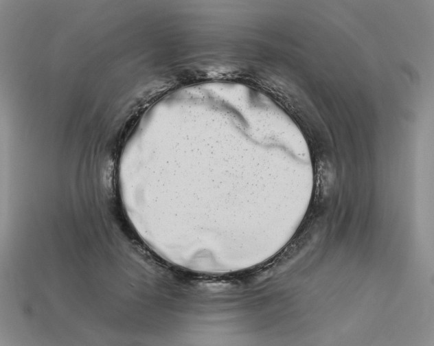 X0000113990650200910161648