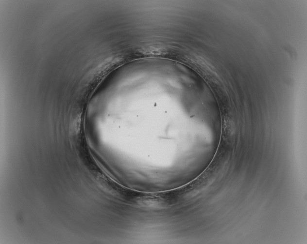 X0000113990652200910161648