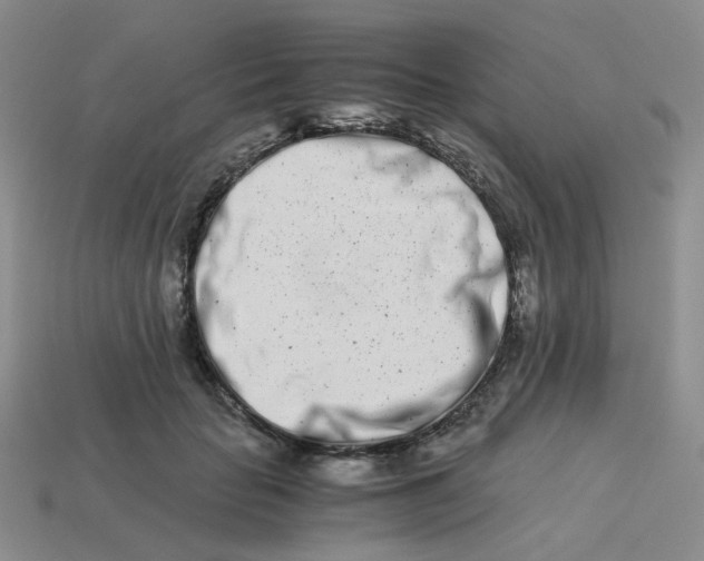 X0000113990653200910161648