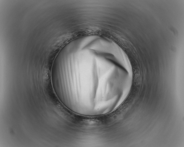 X0000113990654200910161648