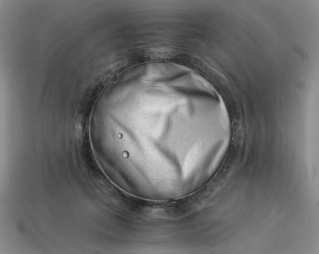 X0000113990655200910161648