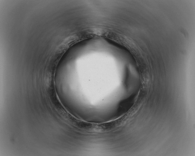 X0000113990656200910161648